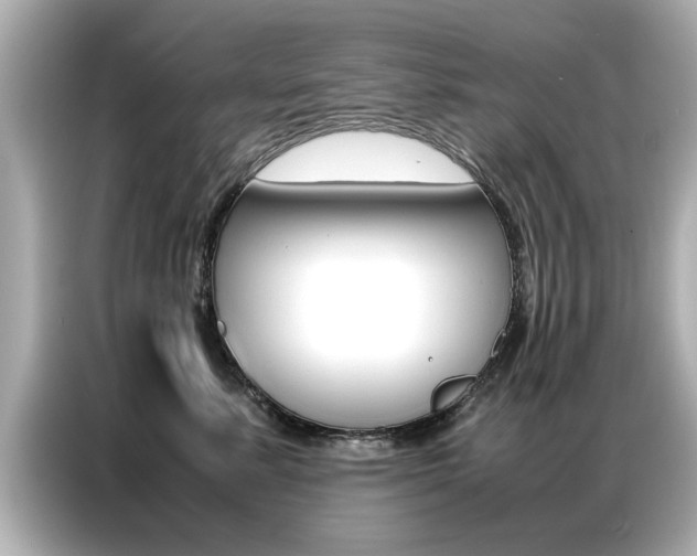 X0000087060619200704180938