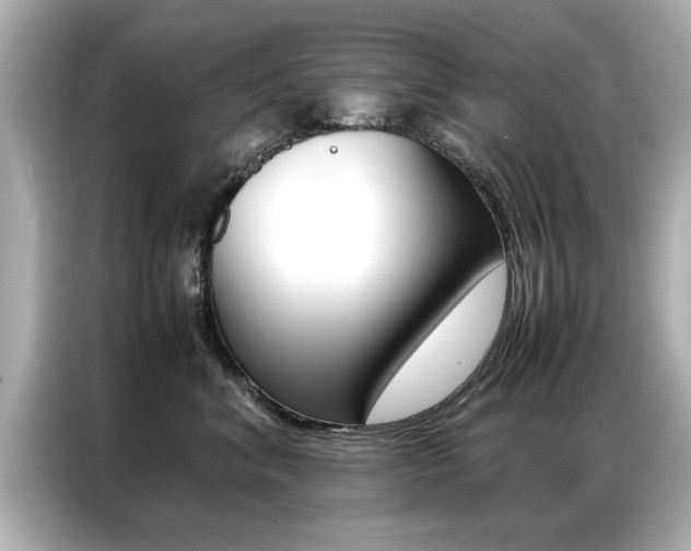 X0000087060620200704180938