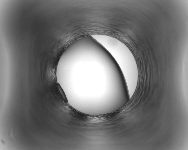 X0000087060621200704180938