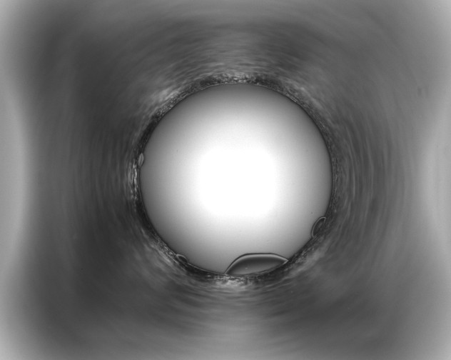 X0000087060624200704180938