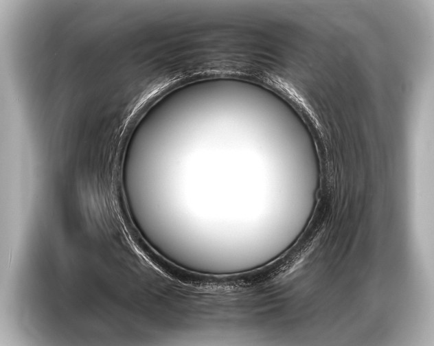 X0000087060625200704180938