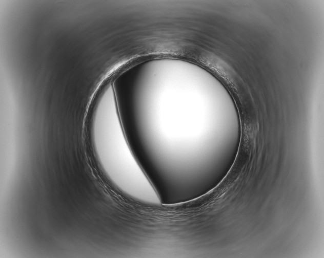 X0000087060628200704180938