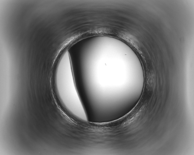 X0000087060629200704180938