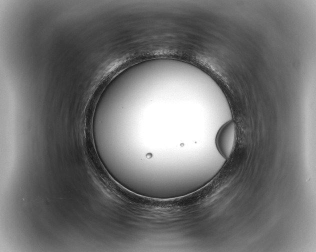 X0000087060631200704180938