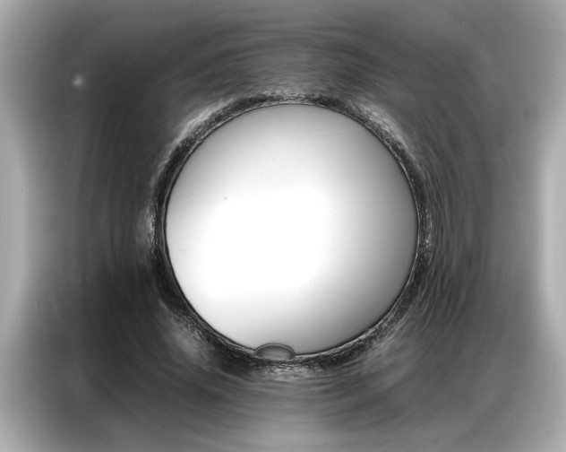 X0000087060636200704180938