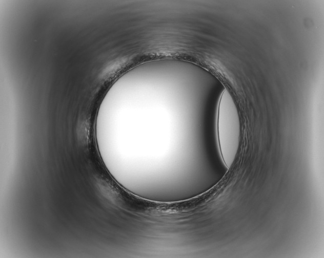 X0000087060640200704180938