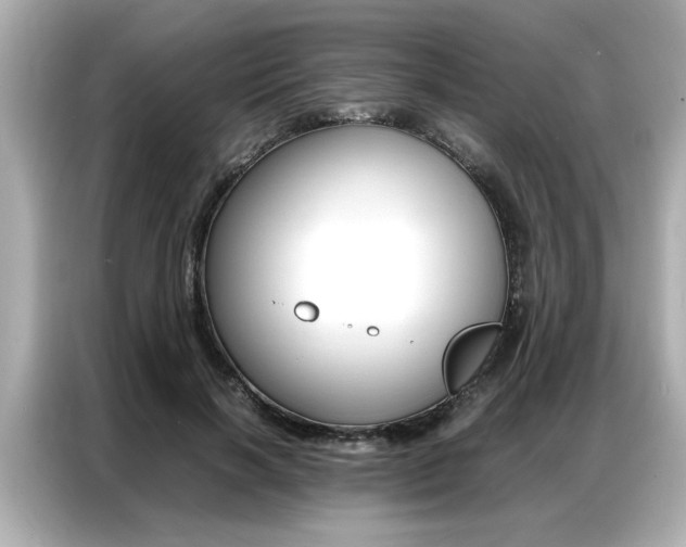 X0000087060646200704180938