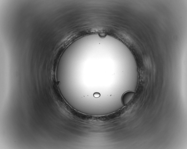 X0000087060648200704180938