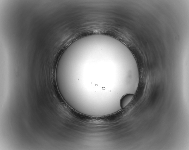 X0000087060650200704180938