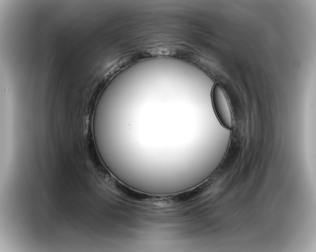 X0000087060652200704180938