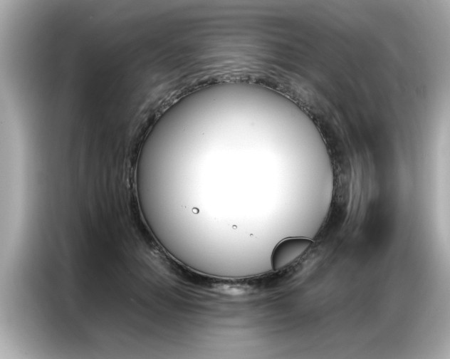 X0000087060654200704180938