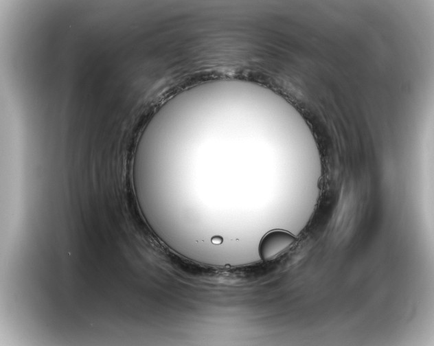 X0000087060656200704180938