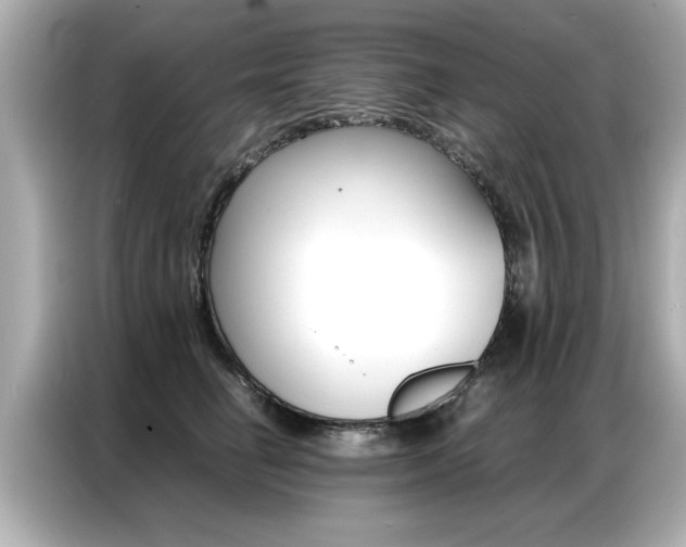 X0000087060662200704180938
