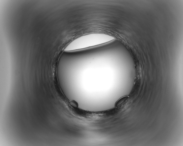 X0000087060664200704180938