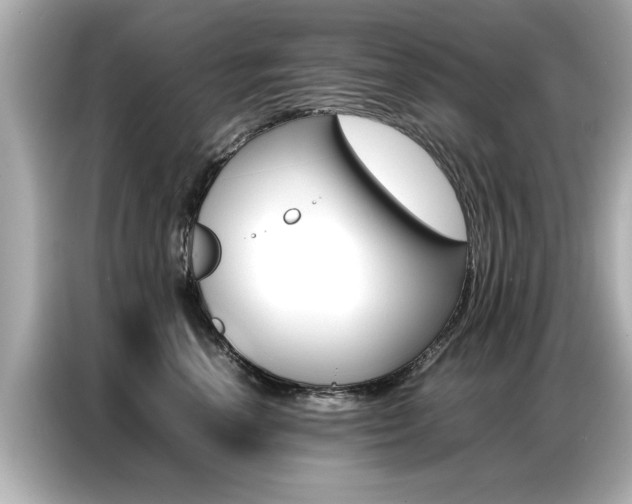 X0000087060666200704180938