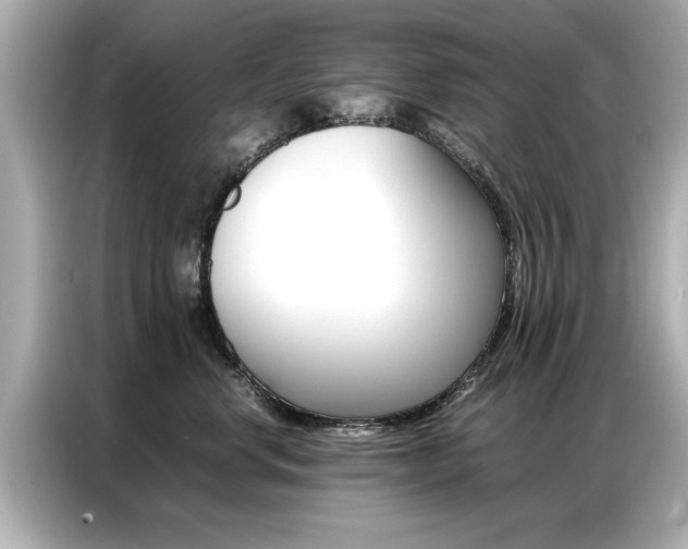 X0000087060668200704180938