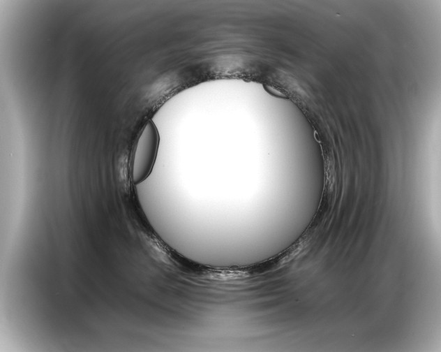 X0000087060670200704180938