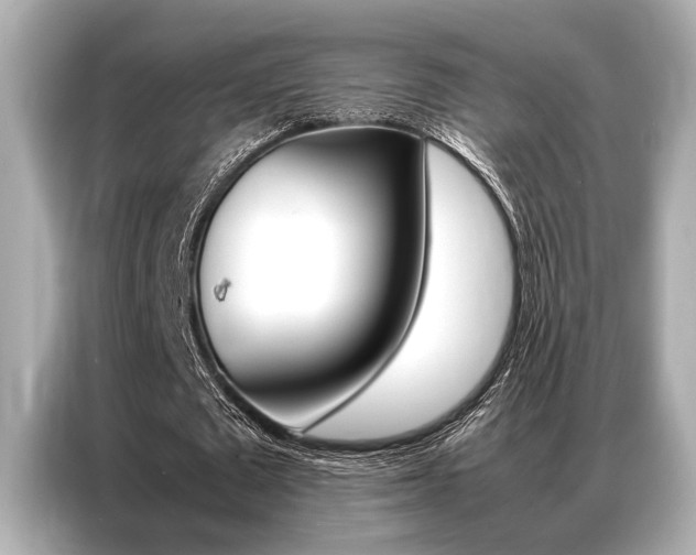 X0000087060673200704180938