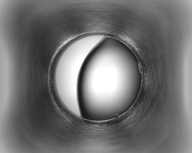 X0000087060680200704180937