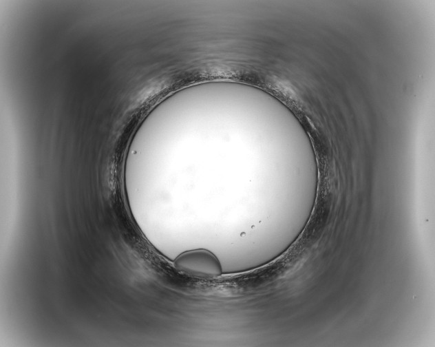 X0000087060683200704180937