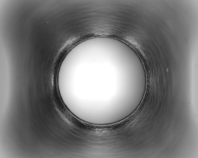 X0000087060686200704180937