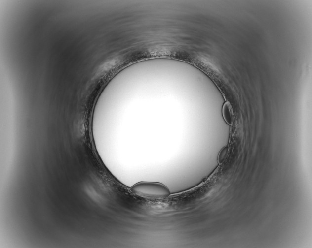 X0000087060687200704180937