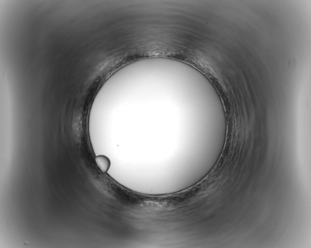 X0000087060690200704180937