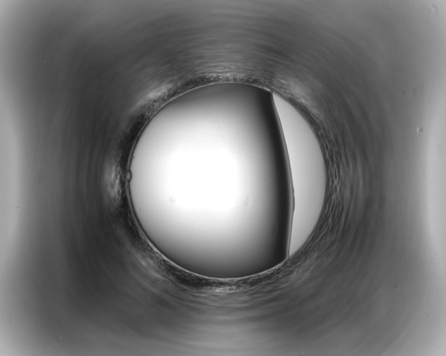 X0000087060692200704180937