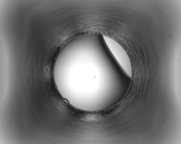 X0000087060708200704180937