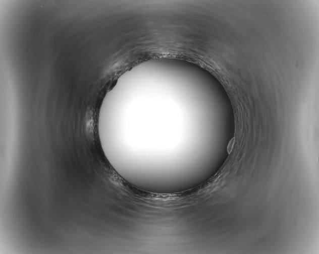 X0000087060720200704180937