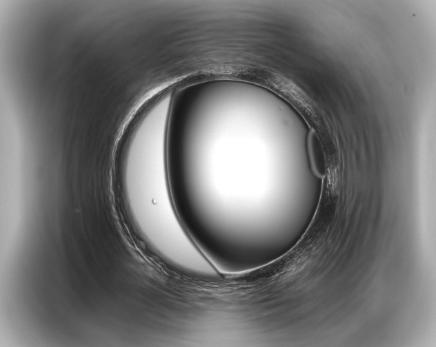 X0000087060724200704180936