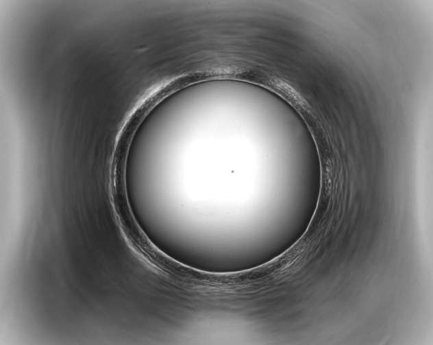X0000087060726200704180936