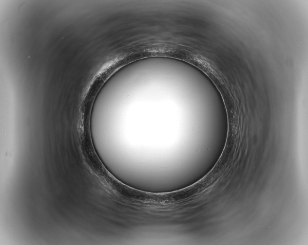 X0000087060727200704180936