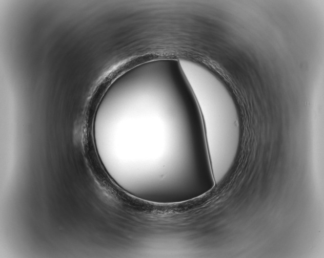 X0000087060728200704180936