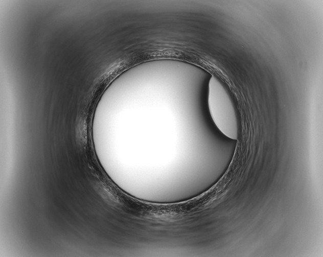 X0000087060729200704180936