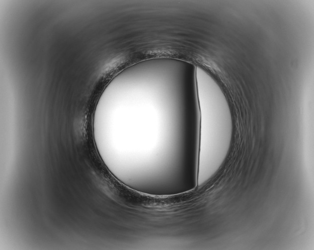 X0000087060735200704180936