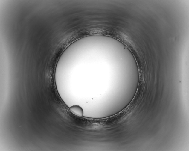 X0000087060737200704180936