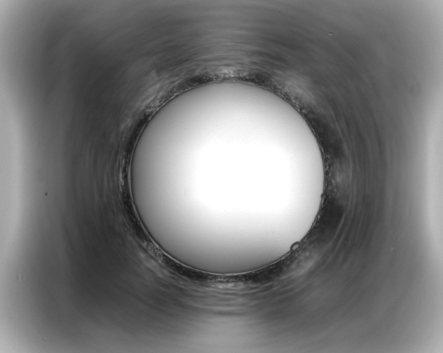 X0000087060746200704180937