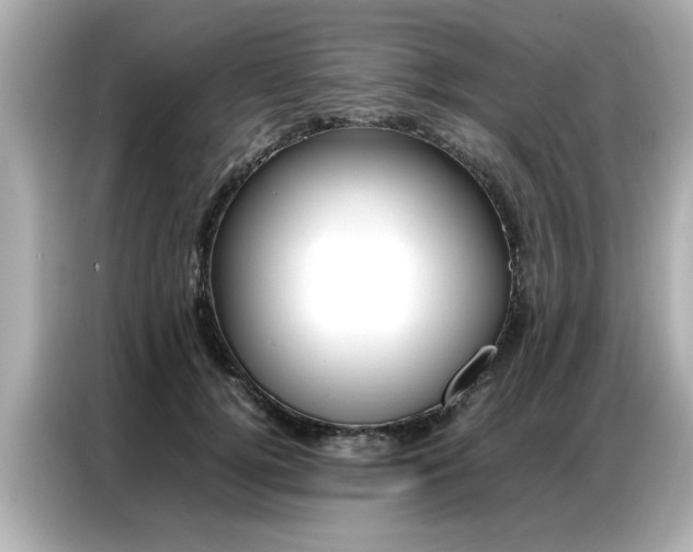 X0000087060752200704180937