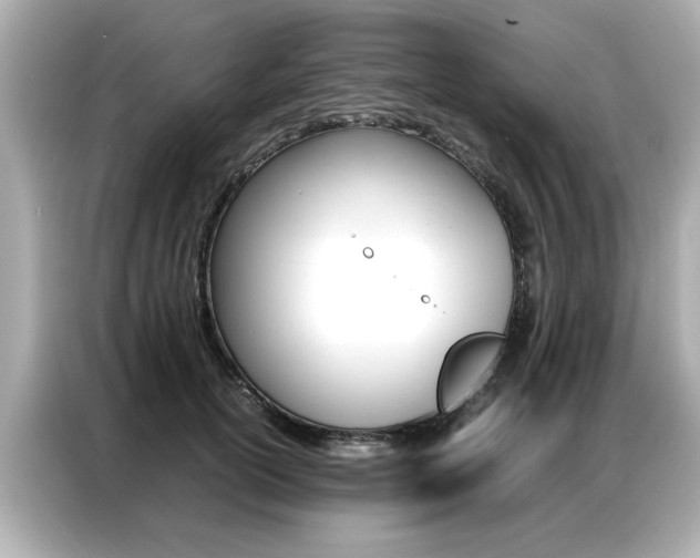 X0000087060754200704180937