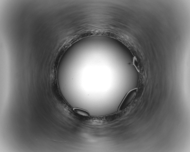 X0000087060756200704180937