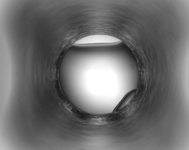 X0000087060760200704180937