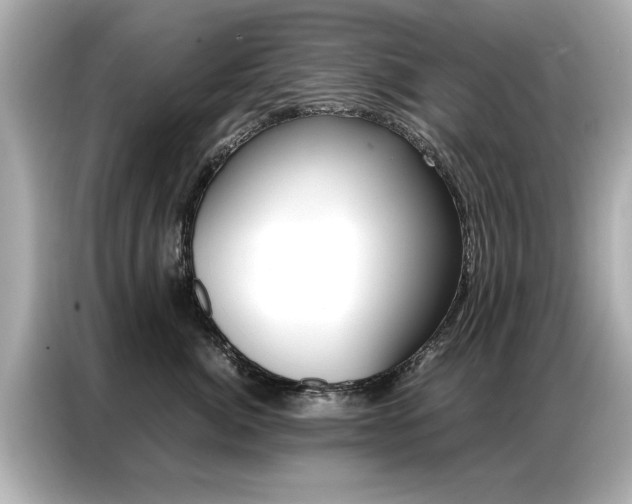 X0000087060764200704180937