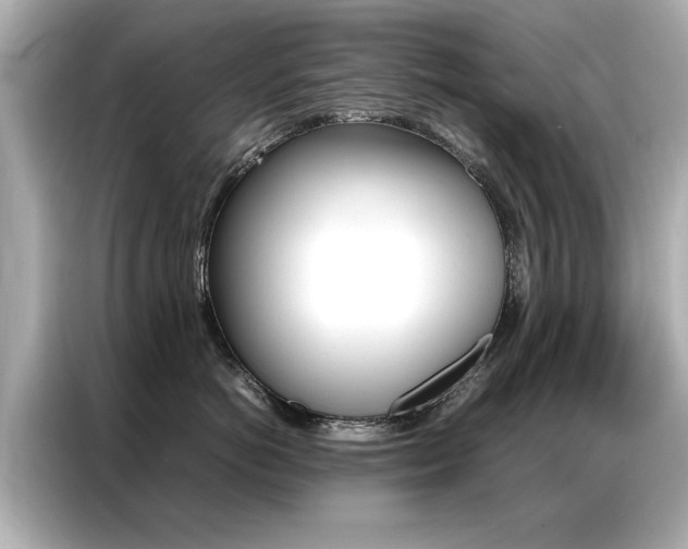 X0000087060766200704180937