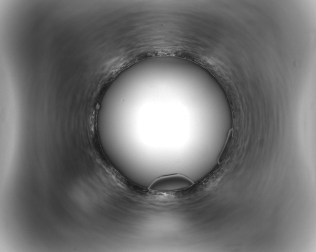 X0000087060768200704180937