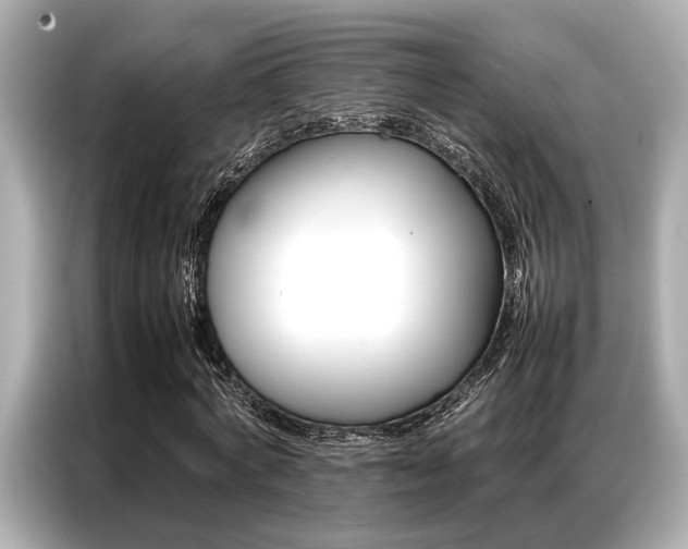 X0000087060772200704180936