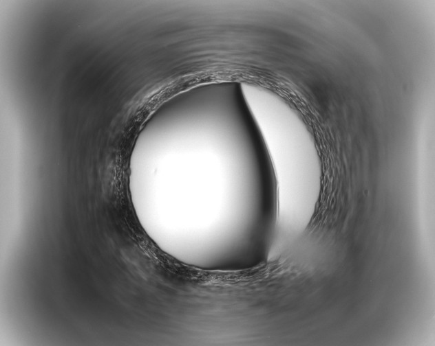 X0000087060773200704180936