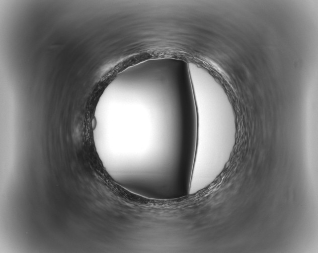 X0000087060775200704180936