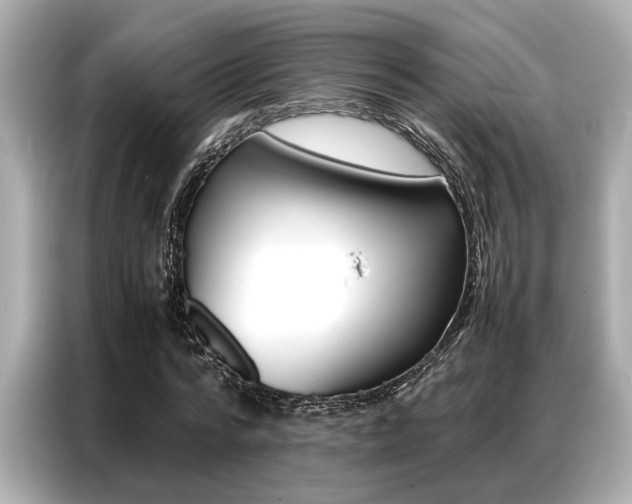 X0000087060776200704180936
