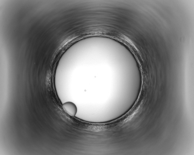 X0000087060778200704180936